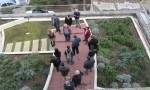 . Site visit by workshop participants to the green roof ii
